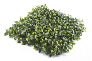 Benjamin-Ivy-300x199