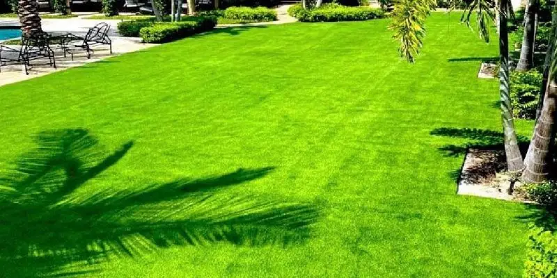 synthetic turf for dogs