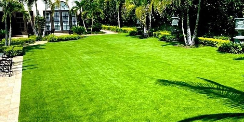 artificial turf and dogs