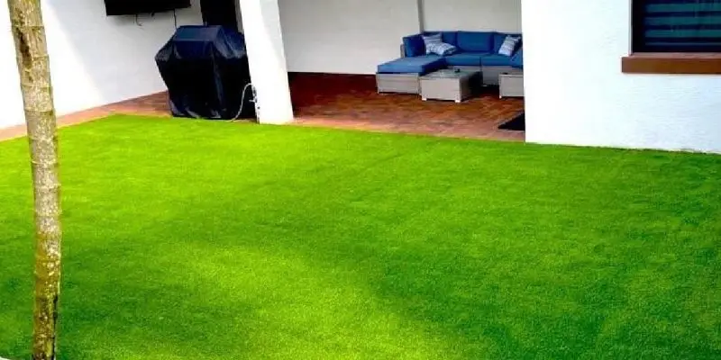 artificial grass for dogs,