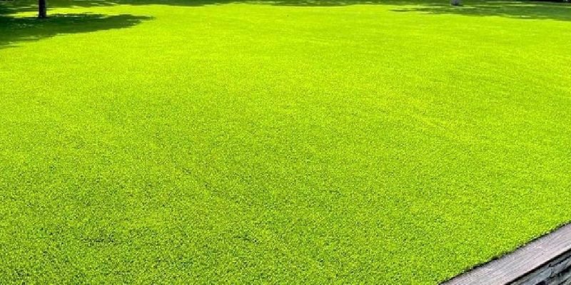 grass synthetic turf