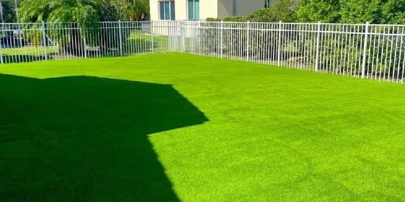 Artificial Turf Near Me