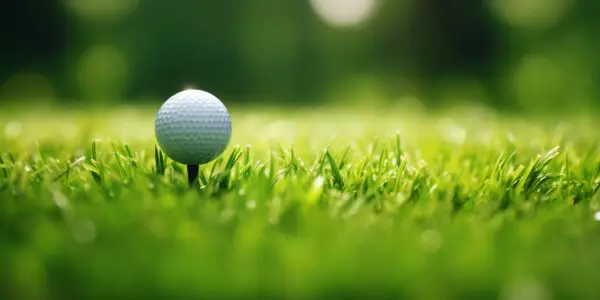 Artificial Turf for Golf Areas