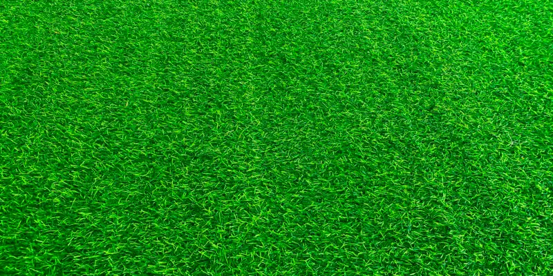 pet artificial grass playground