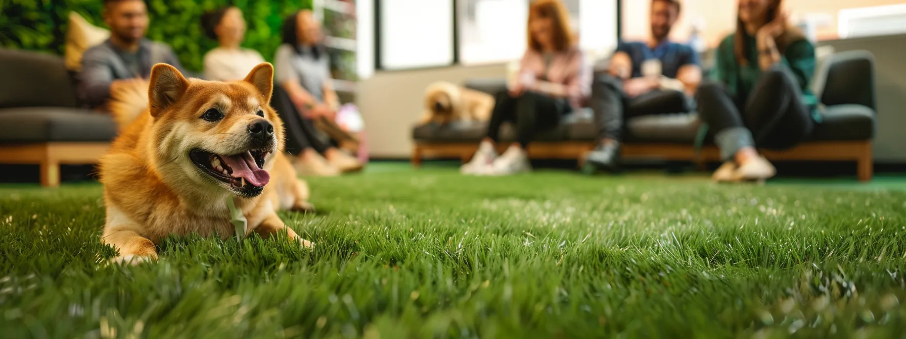a joyful dog playing on lush, vibrant artificial grass, surrounded by smiling pet owners and veterinarians in the background.
