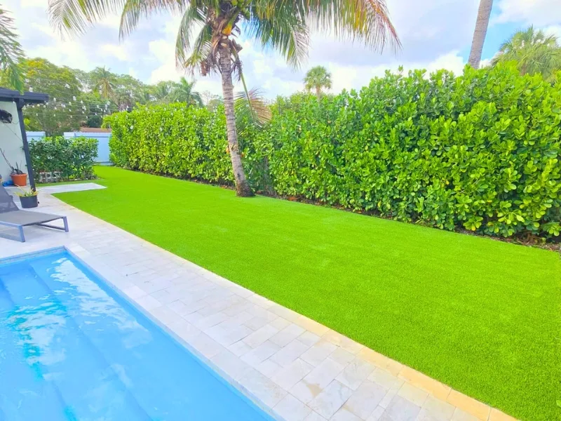 POOL DECK & TERRACES