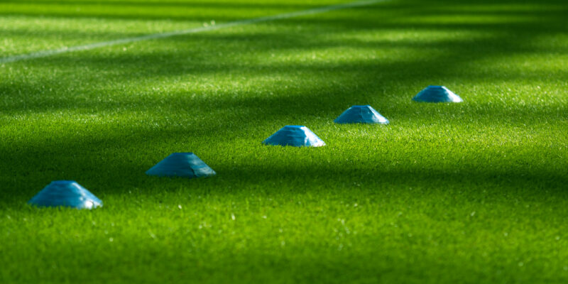 turf grass installation