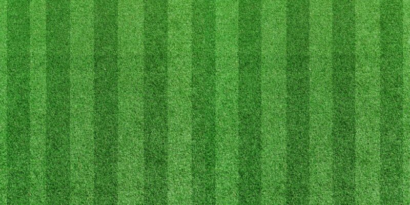 Top view stripe grass soccer field. Green lawn pattern background